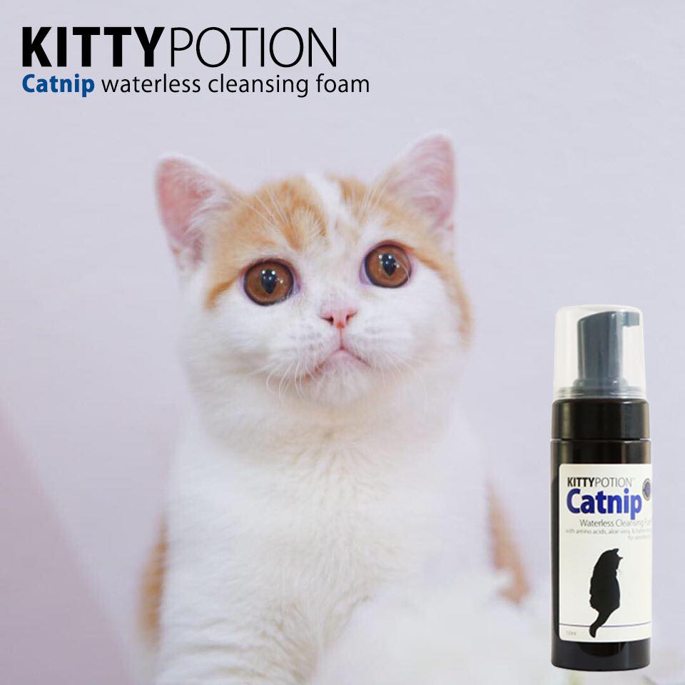 CATNIP 貓貓免沖洗潔毛泡沫 (貓薄荷配方) 150ml