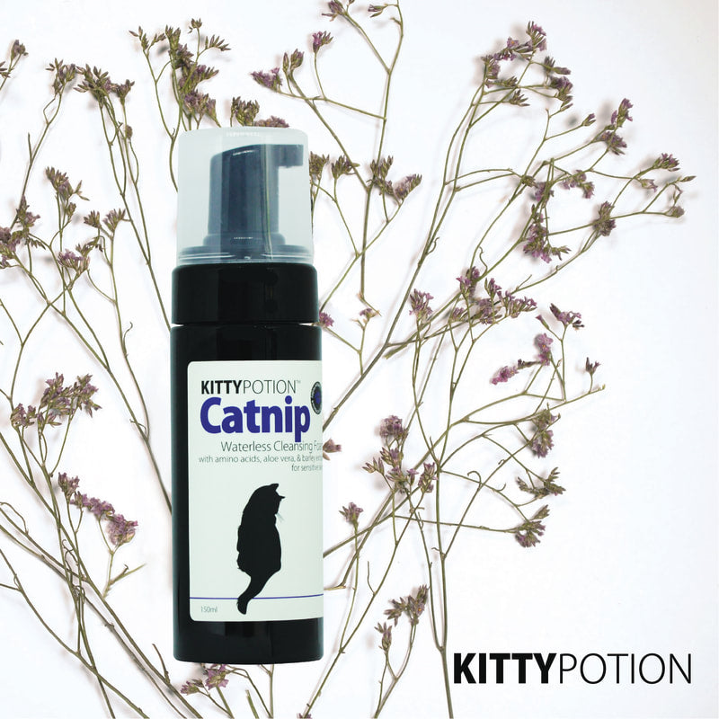 CATNIP 貓貓免沖洗潔毛泡沫 (貓薄荷配方) 150ml