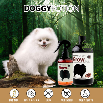 GROW Shampoo with Ginseng & Lingzhi Extract 500ml